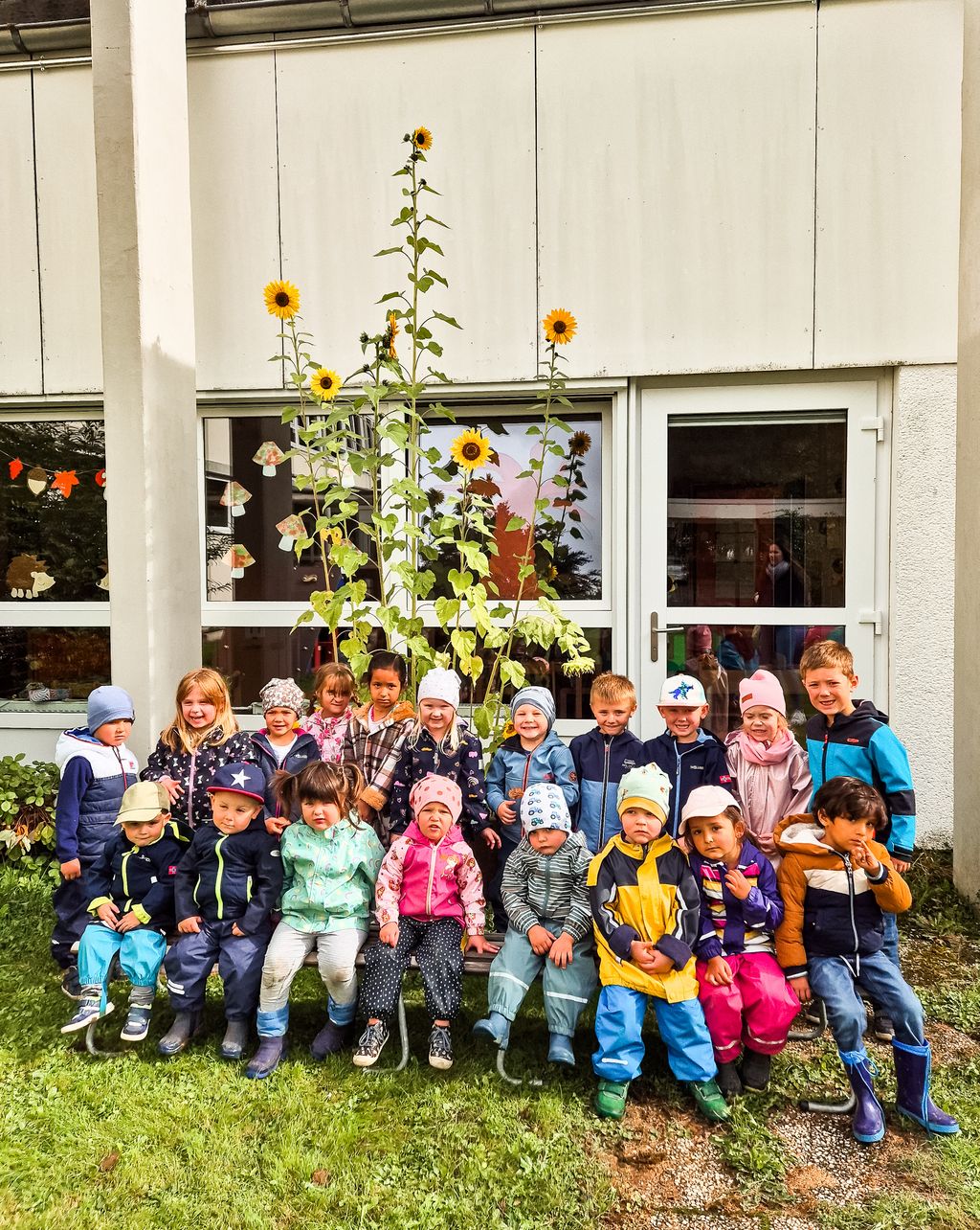 Sonnenblume am Kindergarten Messinghausen; Quelle: Kindergarten Messinghausen