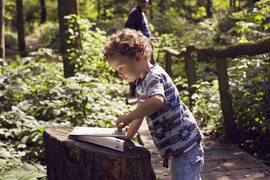 Kind an Lernstation im Wald 