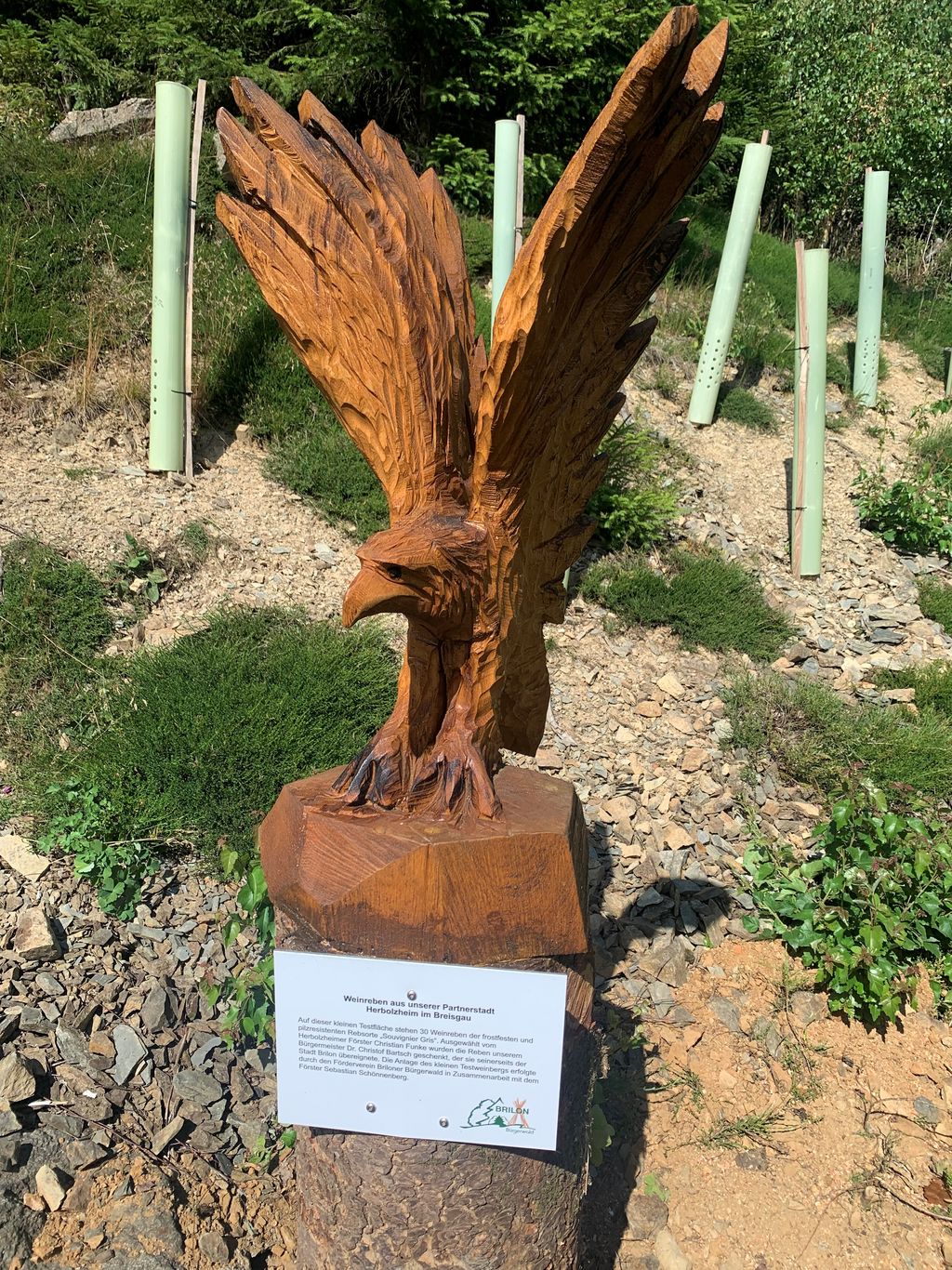Adler Herbolzheim 