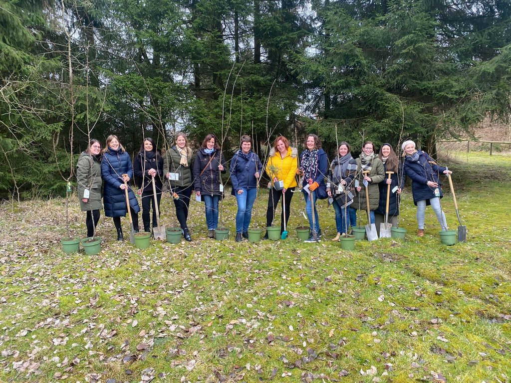 12 der ehemaligen Waldfeen