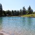 Vorschau: Waldfreibad Gudenhagen - Blick über die Wasserfläche