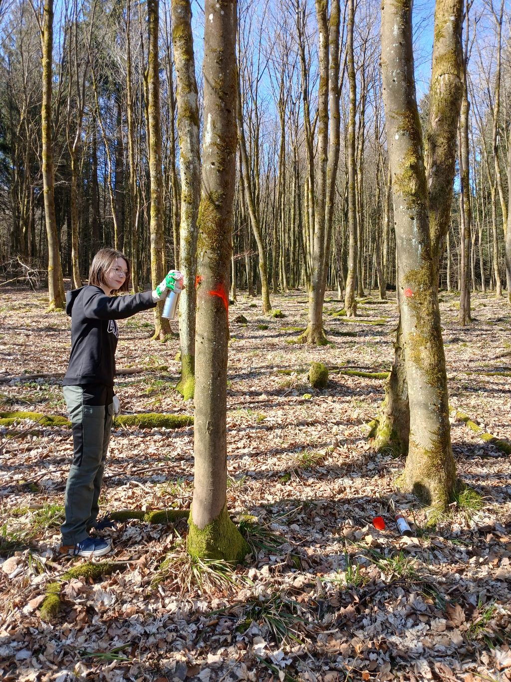 Praktikanten im Städtischen Forstbetrieb