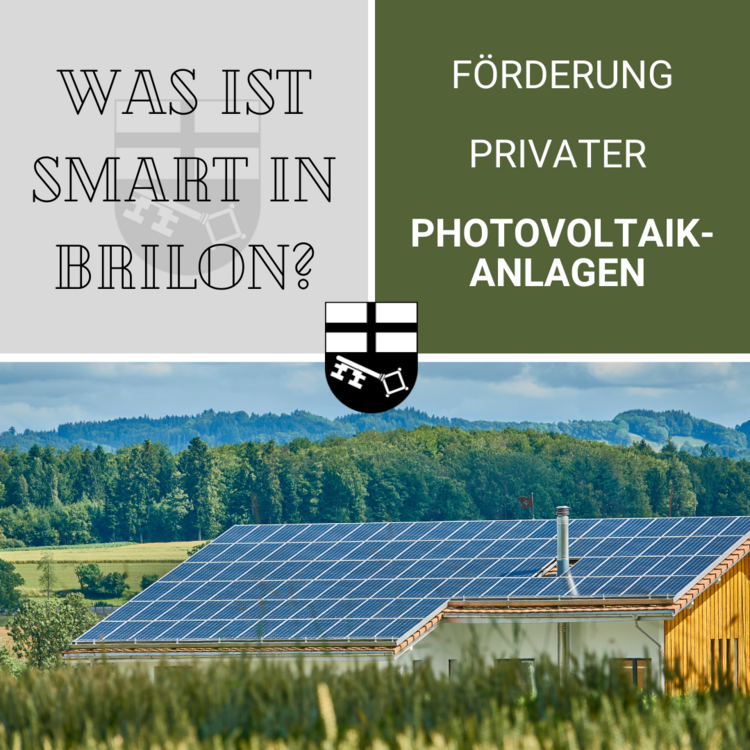 Collage - Projekt: Förderung privater Photovoltaikanlagen 
