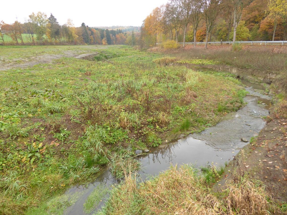 Blick auf die Auffüllungsfläche an der Möhne (Stand Nov. 2016)