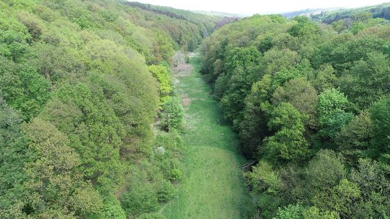 Luftbild des Kloßsiepentales vor der Umgestaltung