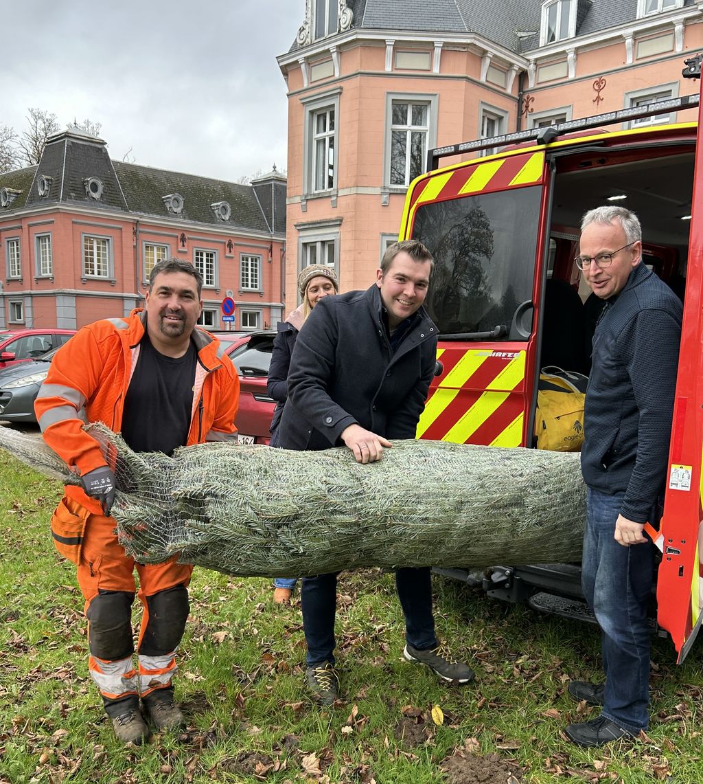 Ausladen des Weihnachtsbaumes