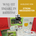 Vorschau: Collage - Projekt: Ausleihe von Strommessgeräten 