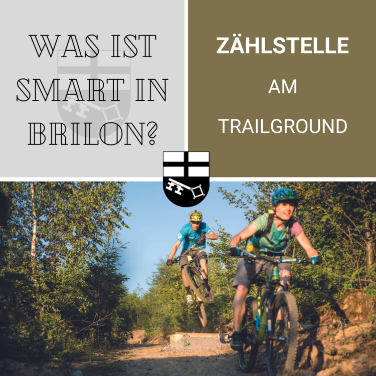 Collage - Projekt: Zählstelle am TrailGround