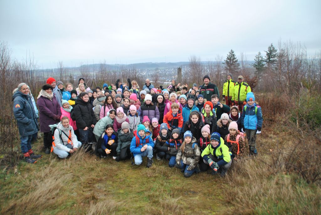 Schulwald am Briloner Poppenberg