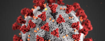Corona Virus Bild Corona Virus Bild