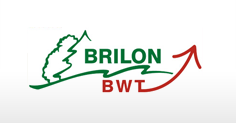 Brilon Wirtschaft und Tourismus GmbH Logo 